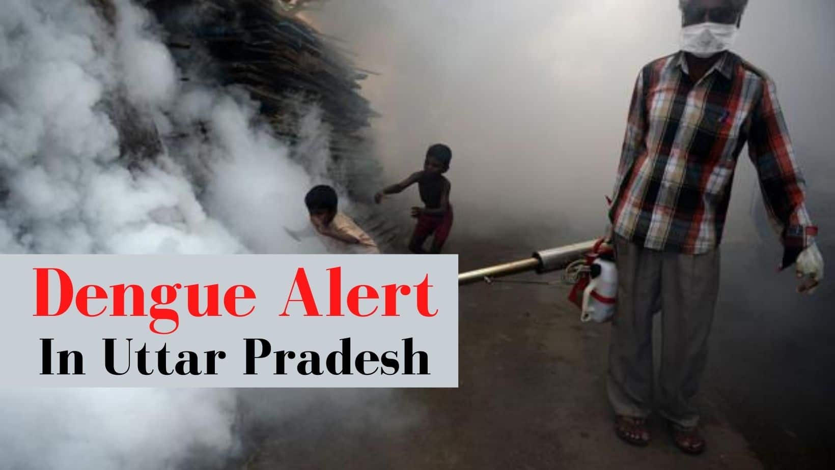 Uttar Pradesh On High Alert Over Dengue Outbreak: 'Do Not Take Your Fever Lightly', Caution Government
